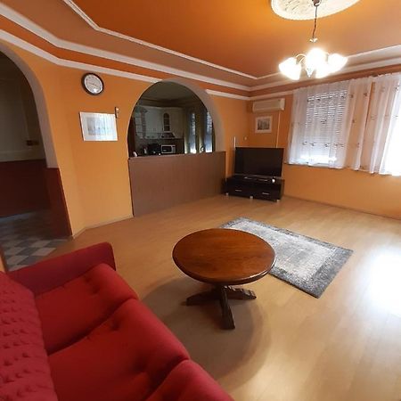 Gabor Pal 1 Apartman 1 Szoba Dunafoldvar Buitenkant foto