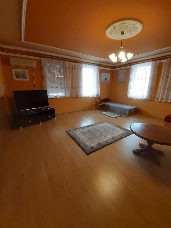 Gabor Pal 1 Apartman 1 Szoba Dunafoldvar Buitenkant foto